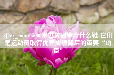 防城港5000米世界冠军穿什么鞋-它们是运动员取得优异成绩背后的重要“功臣”