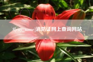防城港消防证网上查询网站