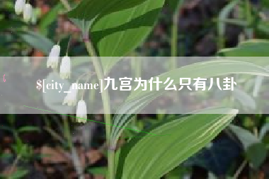 防城港九宫为什么只有八卦