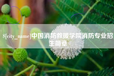 防城港中国消防救援学院消防专业招生简章