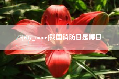 防城港我国消防日是哪日