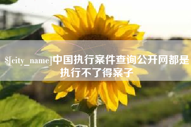 防城港中国执行案件查询公开网都是执行不了得案子