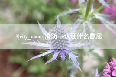 防城港消防ccc认证什么意思