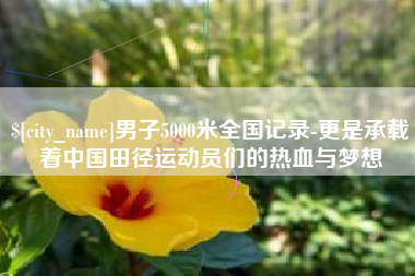 防城港男子5000米全国记录-更是承载着中国田径运动员们的热血与梦想