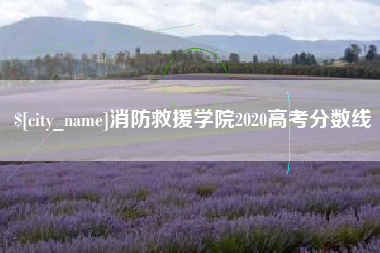 防城港消防救援学院2020高考分数线