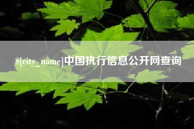 防城港中国执行信息公开网查询