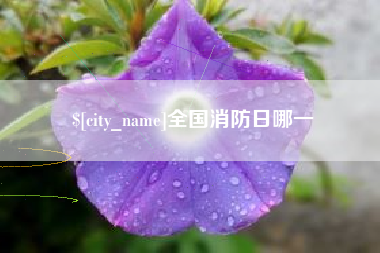 防城港全国消防日哪一