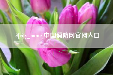 防城港中国消防网官网入口