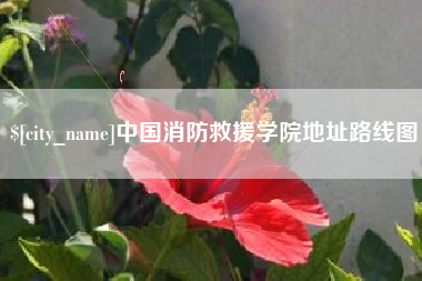 防城港中国消防救援学院地址路线图