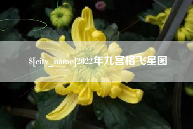 防城港2022年九宫格飞星图