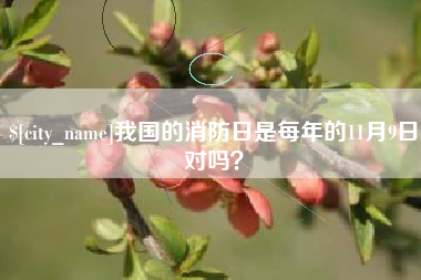 防城港我国的消防日是每年的11月9日对吗？