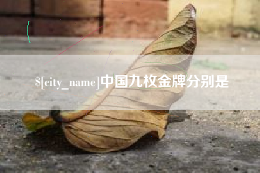 防城港中国九枚金牌分别是