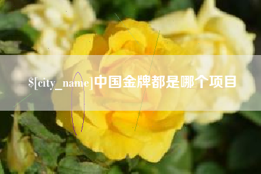 防城港中国金牌都是哪个项目