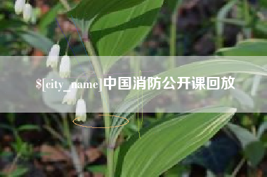 防城港中国消防公开课回放