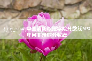 防城港中国消防救援学院分数线2023年河北录取分数线