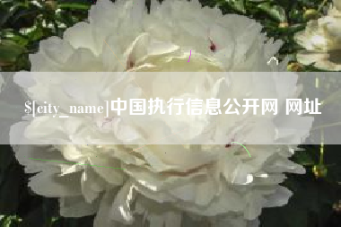 防城港中国执行信息公开网 网址