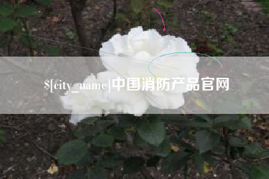 防城港中国消防产品官网