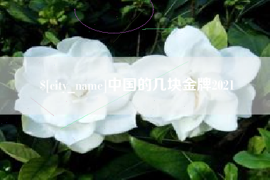 防城港中国的几块金牌2021
