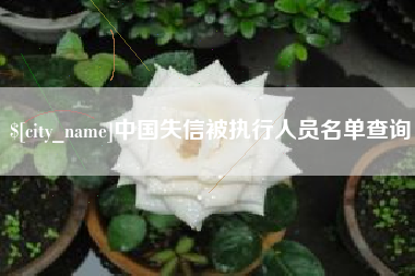 防城港中国失信被执行人员名单查询