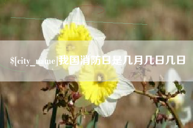 防城港我国消防日是几月几日几日