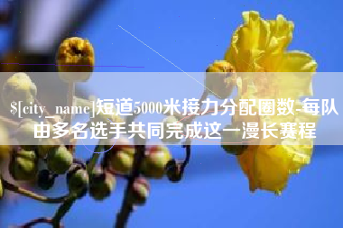 防城港短道5000米接力分配圈数-每队由多名选手共同完成这一漫长赛程