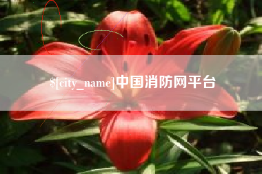 防城港中国消防网平台