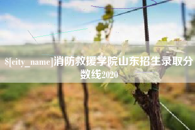 防城港消防救援学院山东招生录取分数线2020