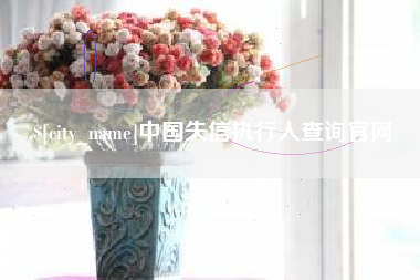 防城港中国失信执行人查询官网