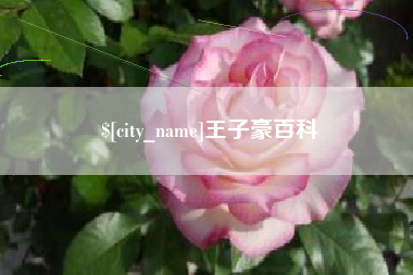 防城港王子豪百科