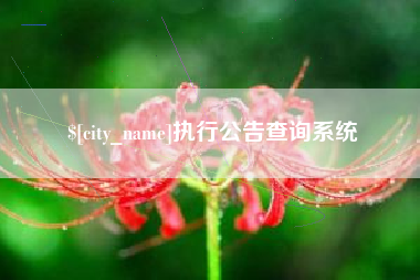 防城港执行公告查询系统