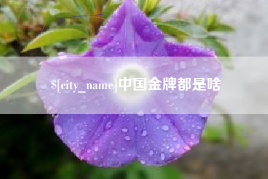 防城港中国金牌都是啥