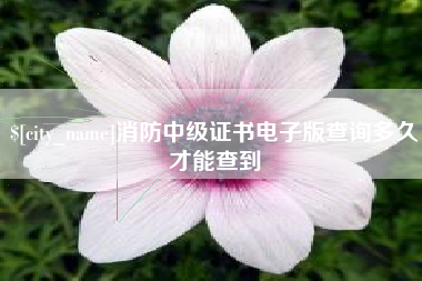 防城港消防中级证书电子版查询多久才能查到