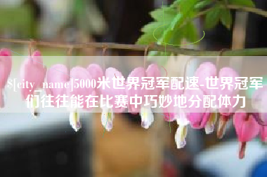 防城港5000米世界冠军配速-世界冠军们往往能在比赛中巧妙地分配体力