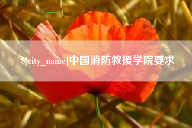 防城港中国消防救援学院要求