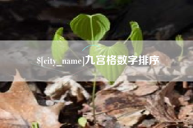 防城港九宫格数字排序