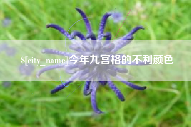防城港今年九宫格的不利颜色