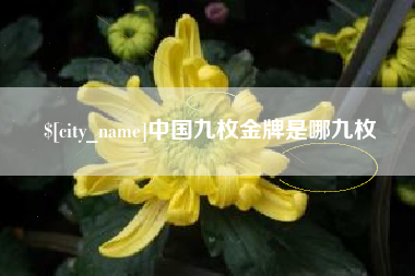 防城港中国九枚金牌是哪九枚