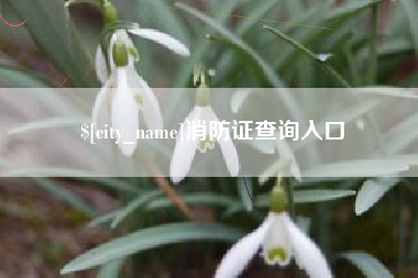 防城港消防证查询入口