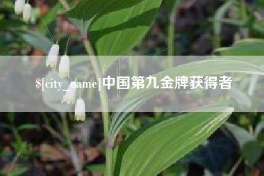 防城港中国第九金牌获得者