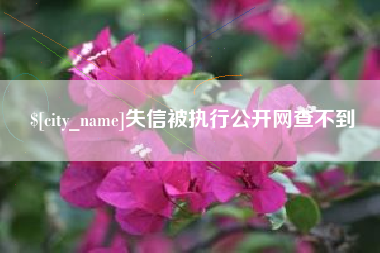 防城港失信被执行公开网查不到