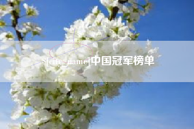 防城港中国冠军榜单