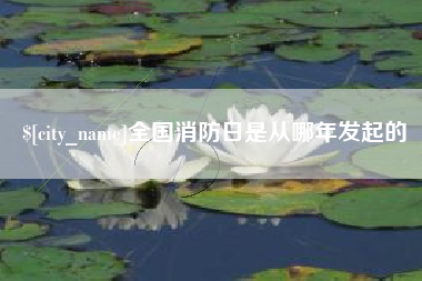 防城港全国消防日是从哪年发起的