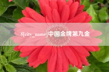 防城港中国金牌第九金