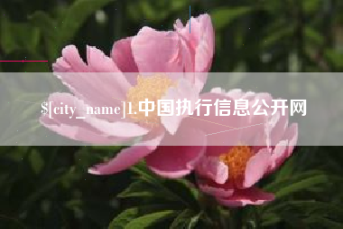 防城港1.中国执行信息公开网