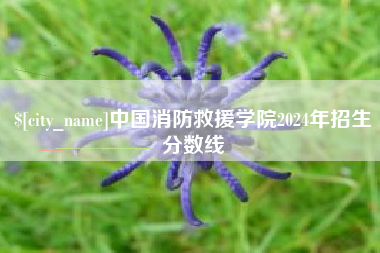 防城港中国消防救援学院2024年招生分数线