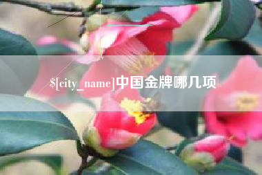 防城港中国金牌哪几项