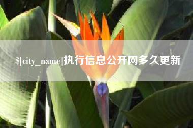 防城港执行信息公开网多久更新