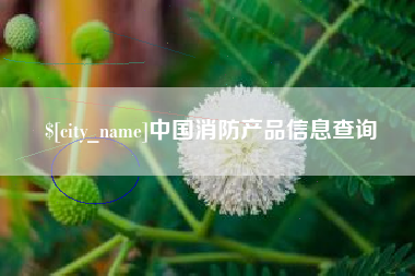 防城港中国消防产品信息查询