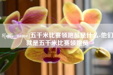防城港五千米比赛领跑员是什么-他们就是五千米比赛领跑员