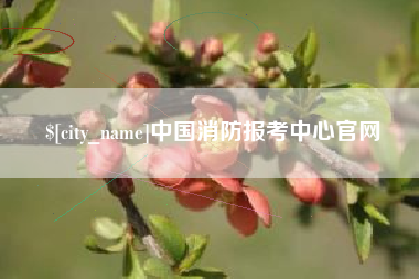 防城港中国消防报考中心官网